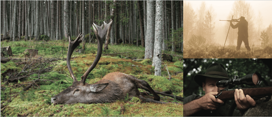 Meopta Ristikot & Meopta Tähtäinristikot